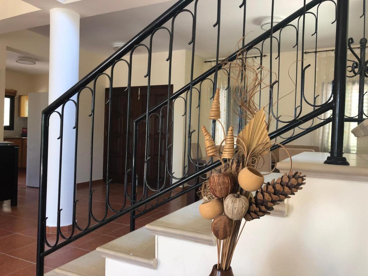Theos Club Villas Полис Экстерьер фото